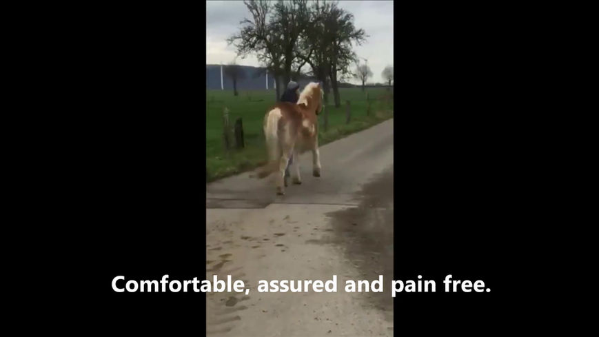 Before and After laminitis